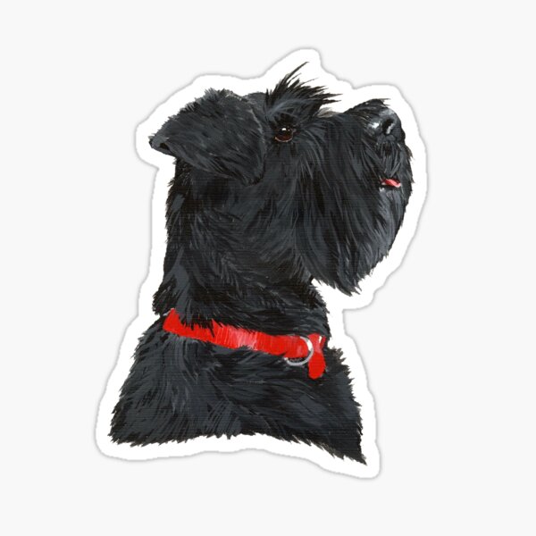 Miniature Black Schnauzer Head Shot Sticker