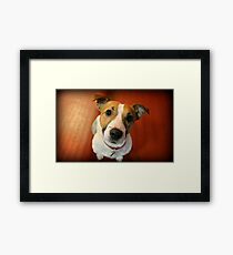 Mighty Max Framed Print