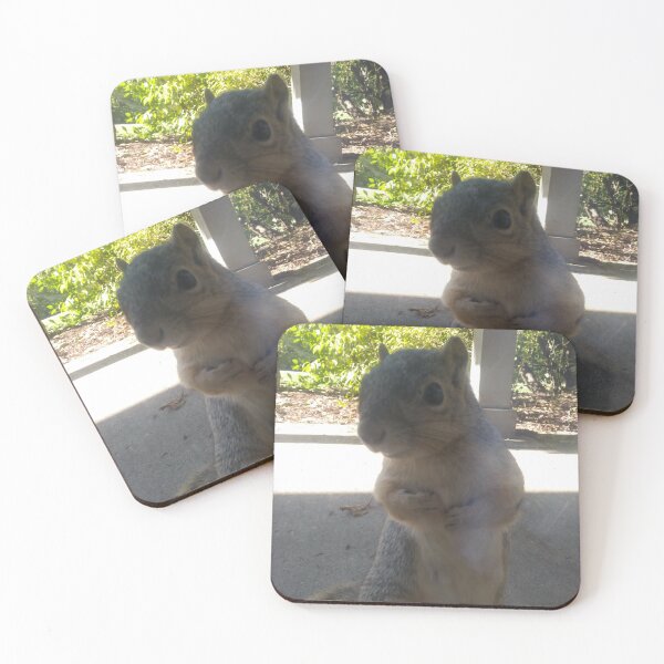 Item preview,  Squirrel Friend Being Cute designed and sold by NathanMoore92.