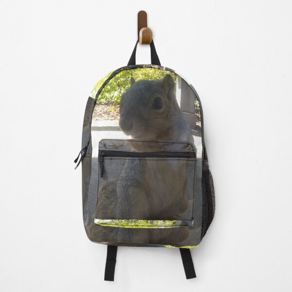 Item preview, Squirrel Friend Being Cute designed and sold by NathanMoore92.