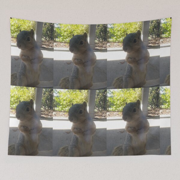 Item preview,  Squirrel Friend Being Cute designed and sold by NathanMoore92.