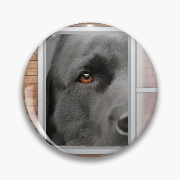 Item preview, Serious Labrador Dog Looking out Window - Brick Wall designed and sold by ittybittyowl.