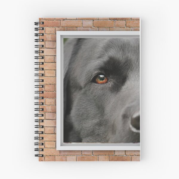 Item preview, Serious Labrador Dog Looking out Window - Brick Wall designed and sold by ittybittyowl.