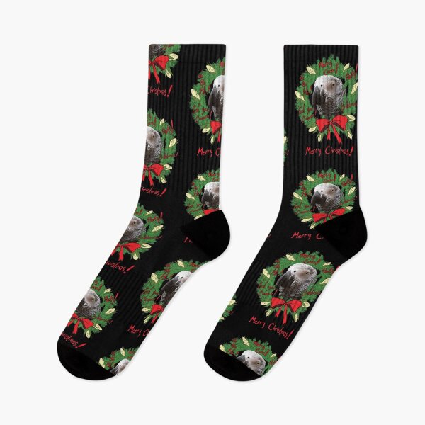 Artikelvorschau, Frohe Mais Weihnachtskranz Einstein Papagei entworfen und verkauft von einsteinparrot.