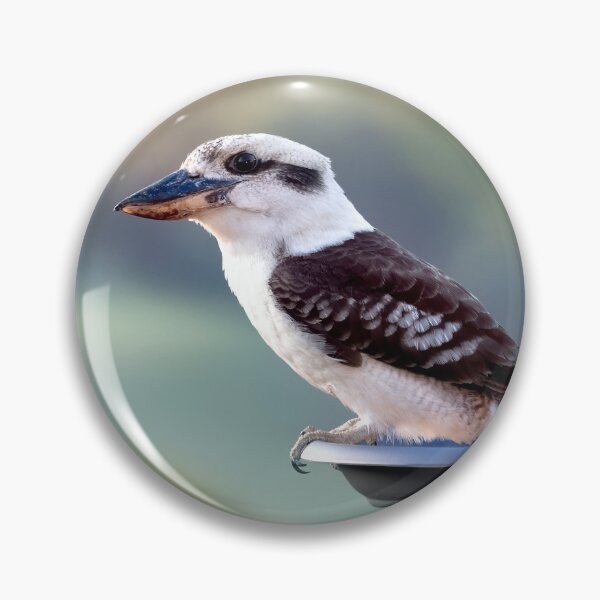 Item preview, Australian kookaburra 905 designed and sold by kevin Chippindall.