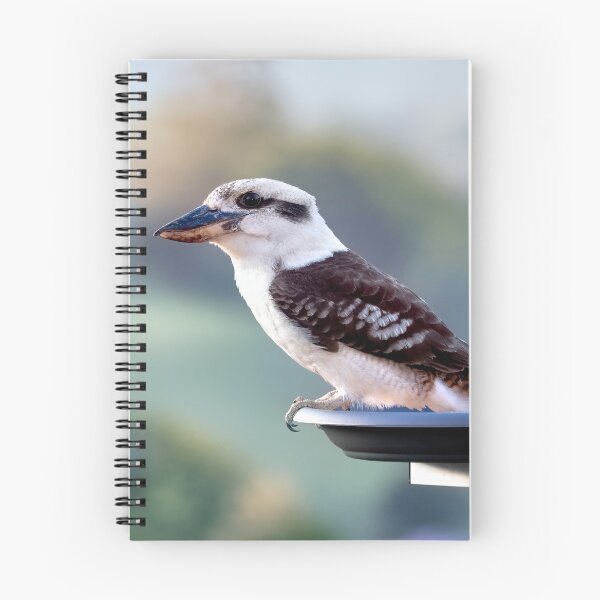Item preview, Australian kookaburra 905 designed and sold by kevin Chippindall.