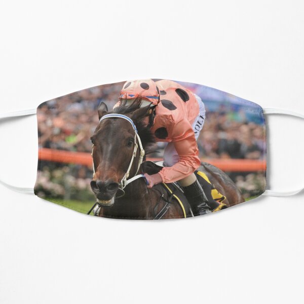 Champion Australian racehorse Black Caviar. Flat Mask