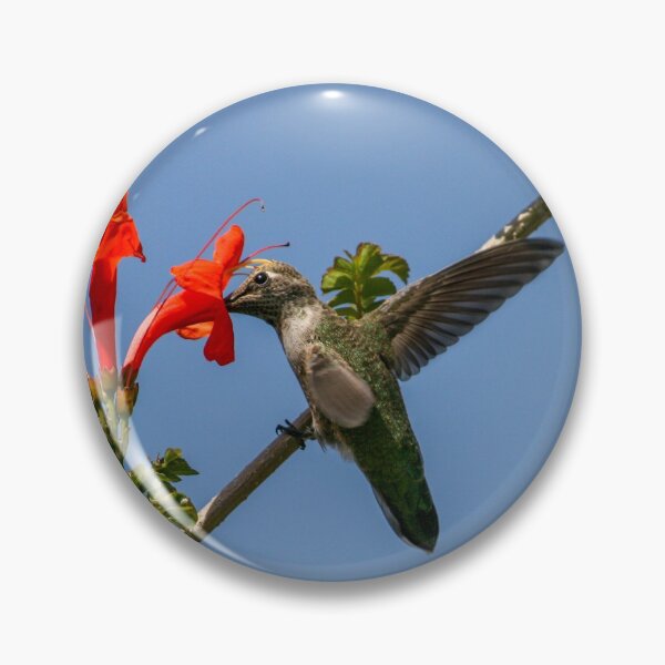 Artikelvorschau, Honeysuckle Hummingbird entworfen und verkauft von PsychoAlien.com.