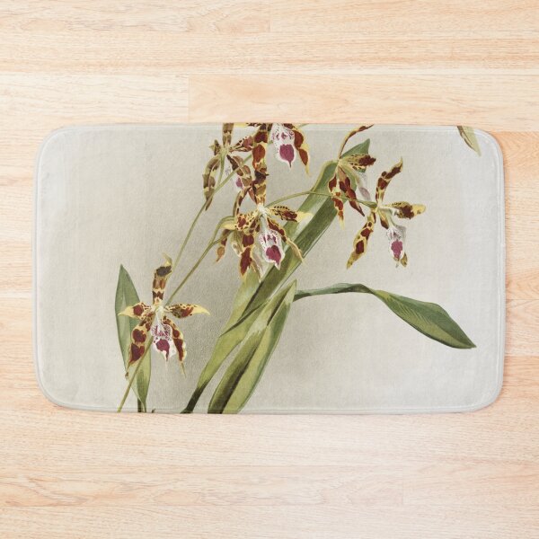 Item preview, Reichenbachia: Orchids Illustrated and Described designed and sold by EsotericBotanic.