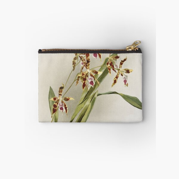 Item preview, Reichenbachia: Orchids Illustrated and Described designed and sold by EsotericBotanic.