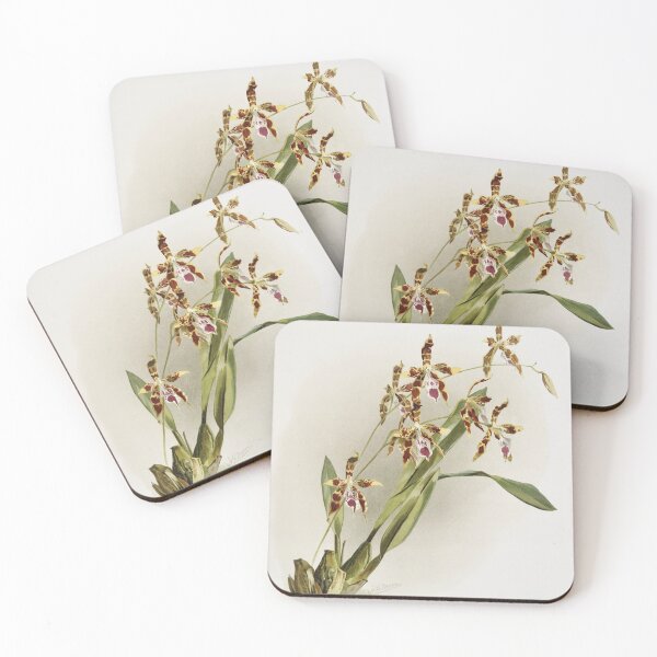 Item preview, Reichenbachia: Orchids Illustrated and Described designed and sold by EsotericBotanic.
