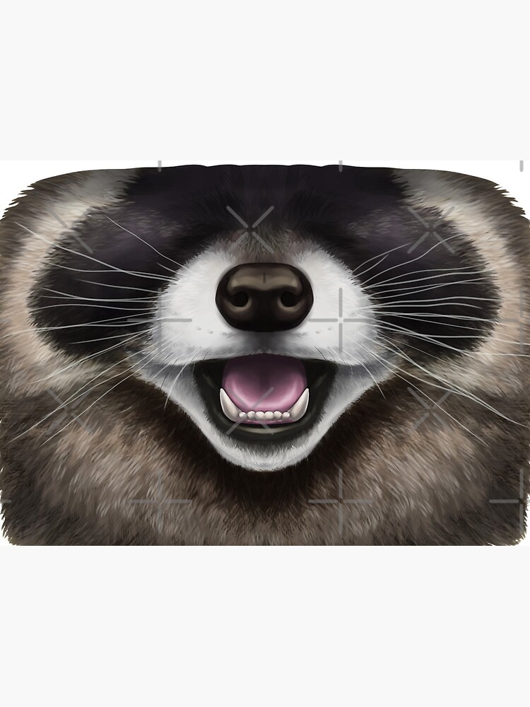 Raccoon Face by SidianArts