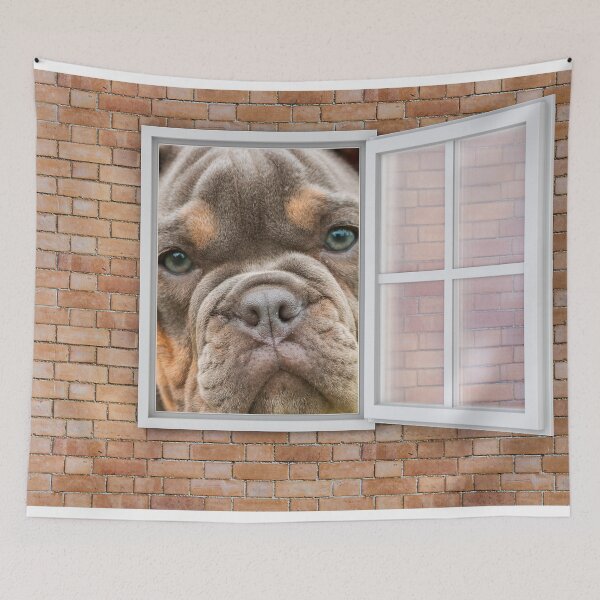 Artikelvorschau, Ernsthafter brauner Bulldoggenwelpe, der aus dem Fenster schaut – Backsteinmauer entworfen und verkauft von ittybittyowl.