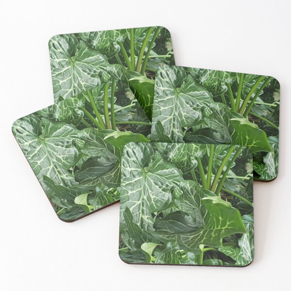 Item preview, Arum Lily Leaves designed and sold by Naomi80.