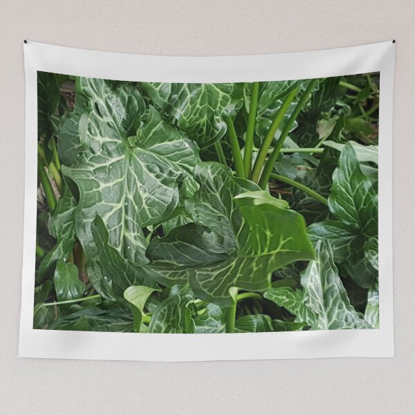 Item preview, Arum Lily Leaves designed and sold by Naomi80.