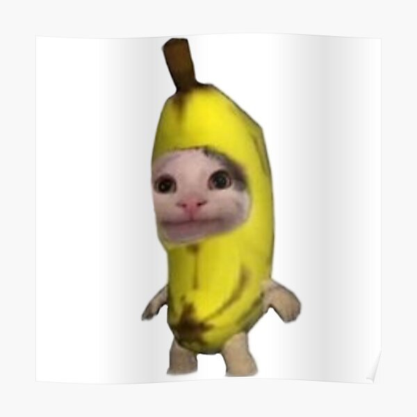 "banana cat " Poster by maddietorress Redbubble