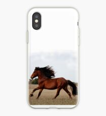 Cheval iPhone Case