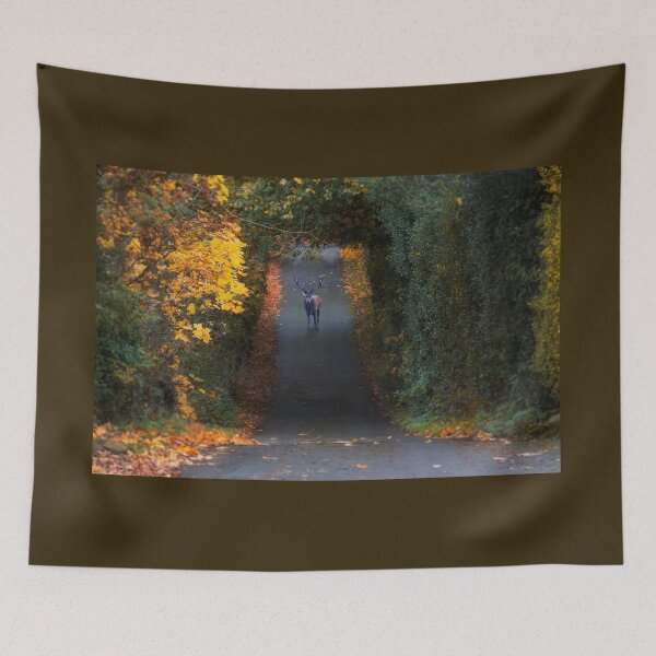 Item preview, Autumn Stag designed and sold by Alisonchambers2.