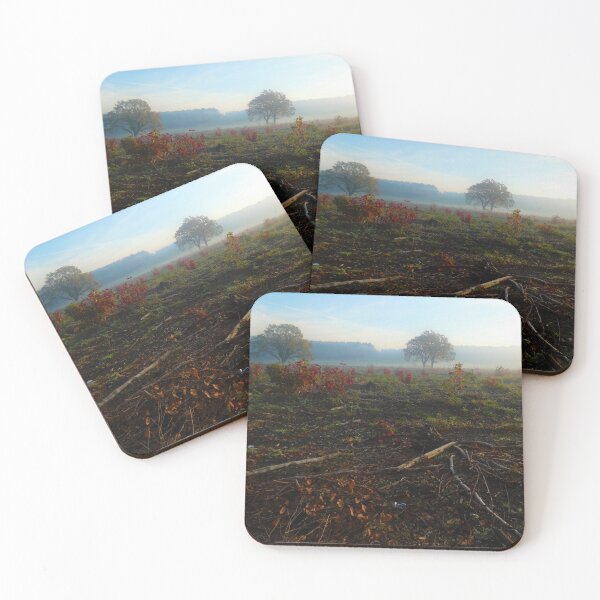 Item preview, Misty morning designed and sold by EastofAngland.