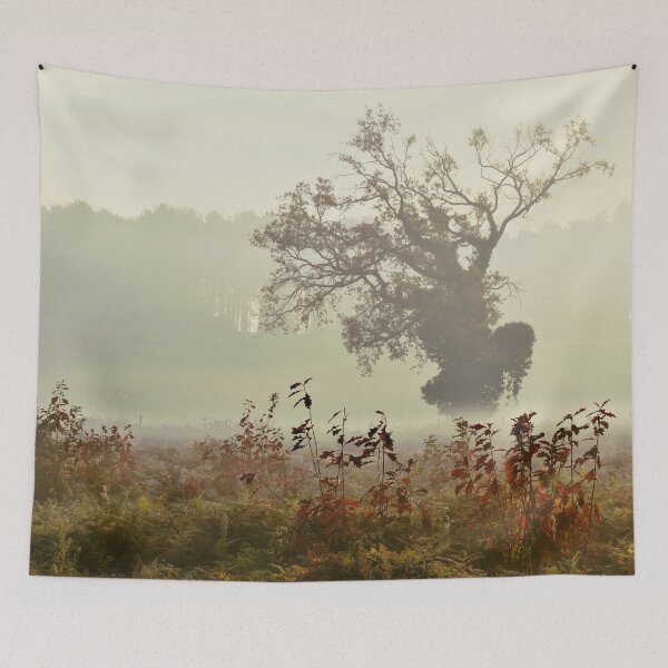 Item preview, Tree in the mist designed and sold by EastofAngland.