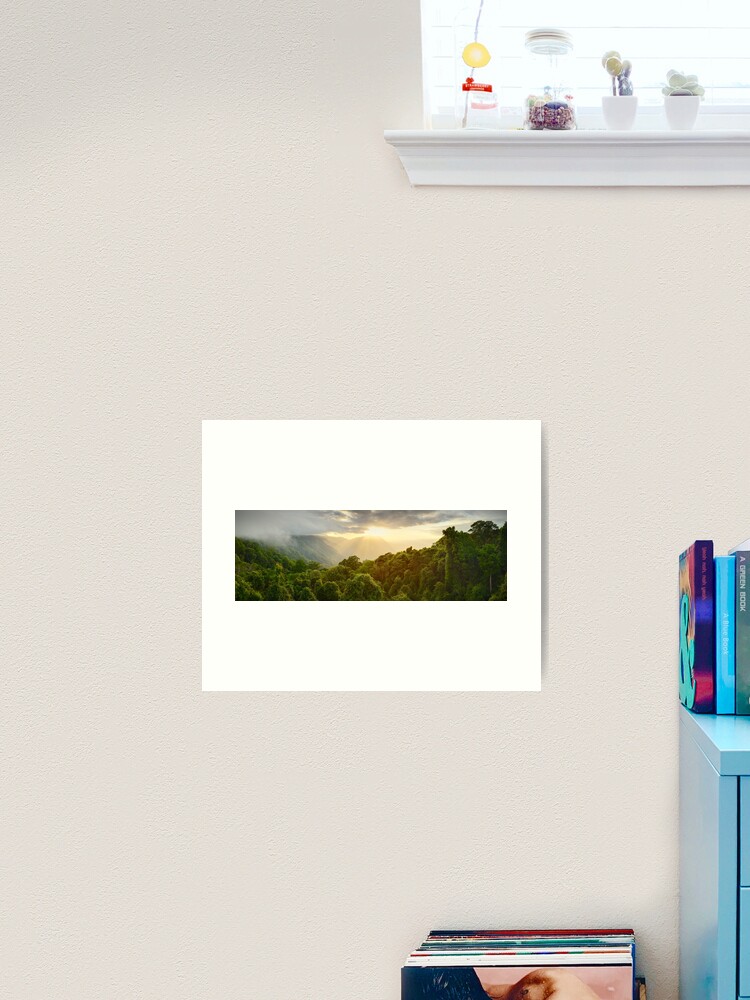 Thumbnail 1 of 3, Art Print, Tree Top Dawn, Dorrigo National Park, New South Wales, Australia designed and sold by Michael Boniwell.