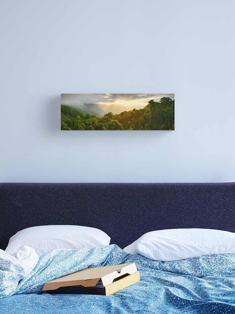 Canvas Print, Tree Top Dawn, Dorrigo National Park, New South Wales, Australia designed and sold by Michael Boniwell