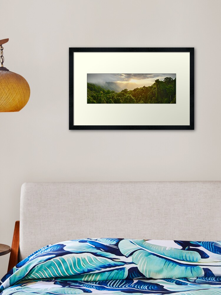 Thumbnail 1 of 7, Framed Art Print, Tree Top Dawn, Dorrigo National Park, New South Wales, Australia designed and sold by Michael Boniwell.