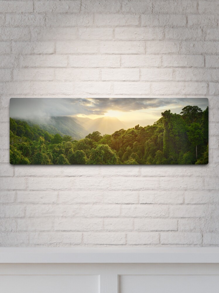 Thumbnail 2 of 4, Metal Print, Tree Top Dawn, Dorrigo National Park, New South Wales, Australia designed and sold by Michael Boniwell.