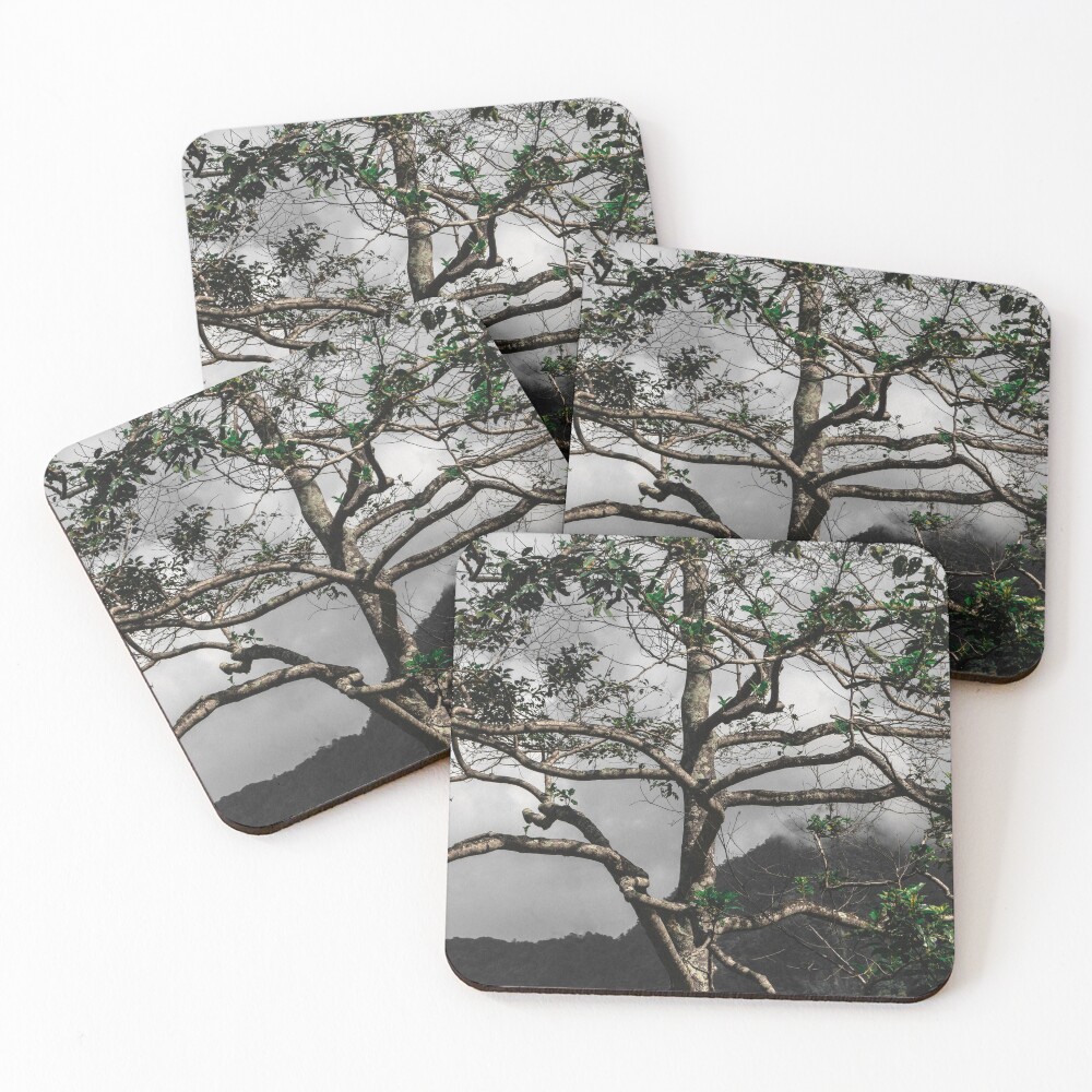 Item preview, Coasters (Set of 4) designed and sold by rokojin.