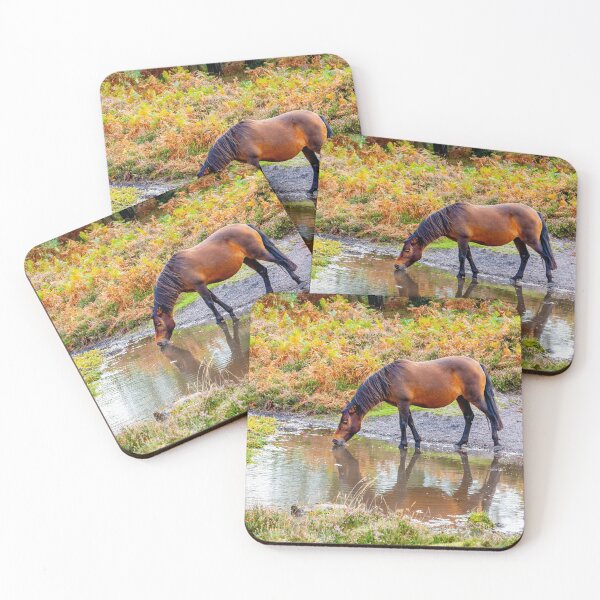 Item preview, Chestnut horse drinking at a New Forest pool designed and sold by Dalyndigital Photography.