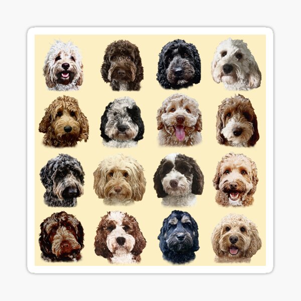 Cockapoo & Doodle Dog Collection Sticker