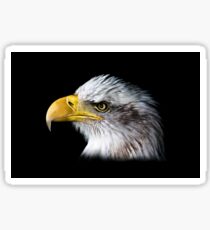 Aigle Sticker