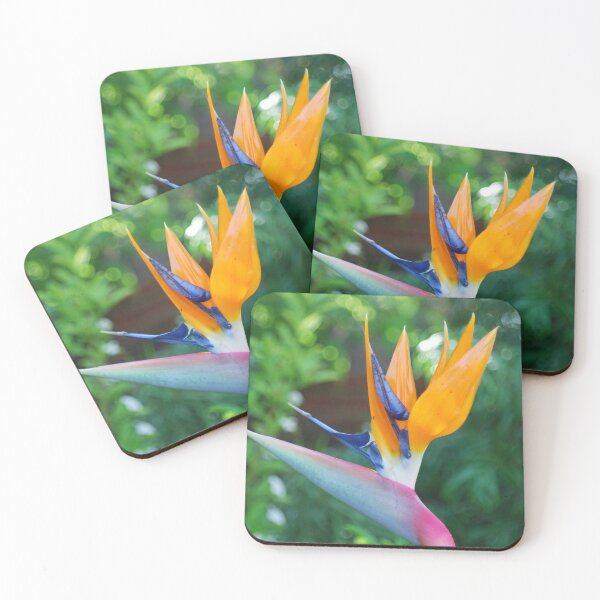 Item preview, Strelitzia Reginae in Full Bloom designed and sold by justbmac.