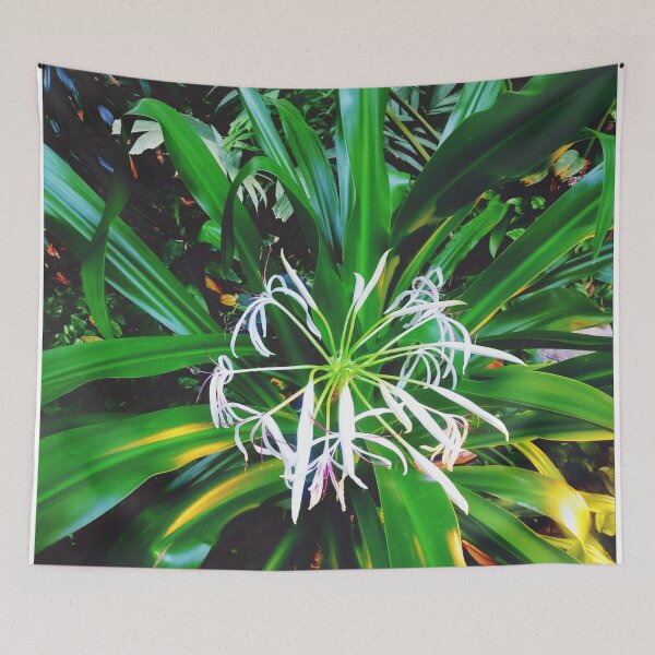 Item preview, white tropical flower designed and sold by OMdesigns93.