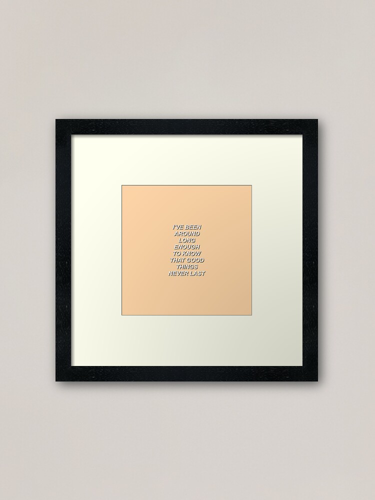 The Front Bottoms Swimming Pool Lyrics Framed Art Print By Melissacascio Redbubble