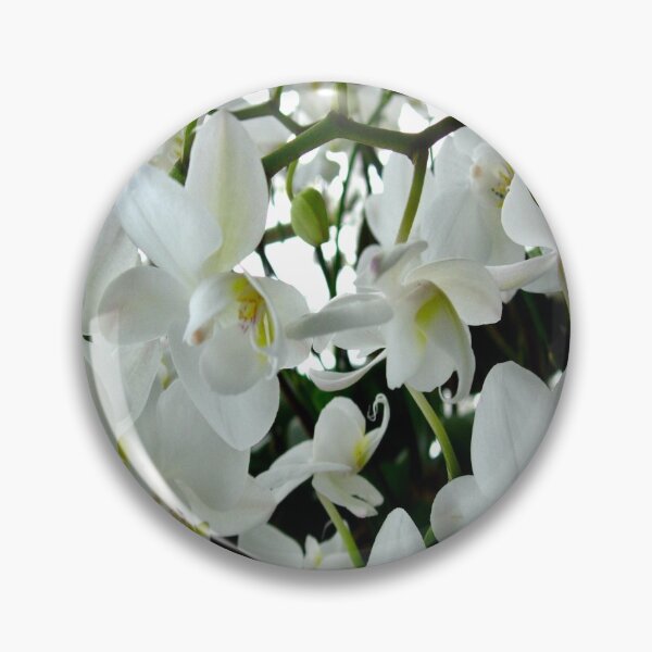 Item preview, White Orchids Blooming photographic print designed and sold by CraveArt.