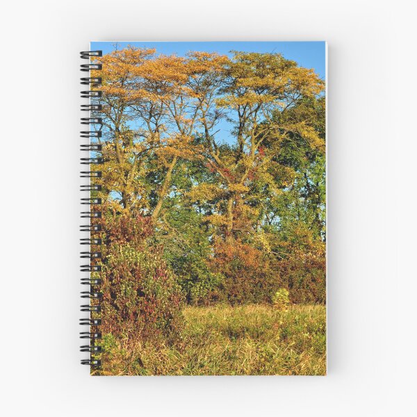 Item preview, Late Summer Marsh designed and sold by LynyrdSky.