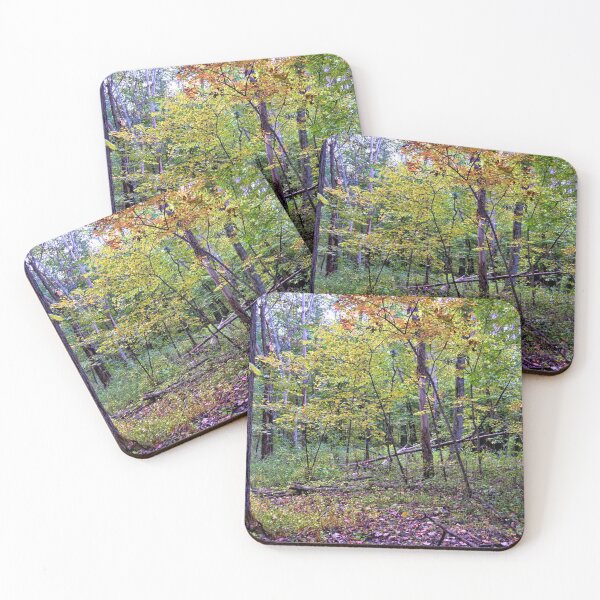 Item preview, Late Summer Woods designed and sold by LynyrdSky.