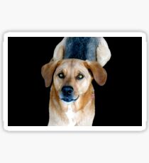Chien Sticker