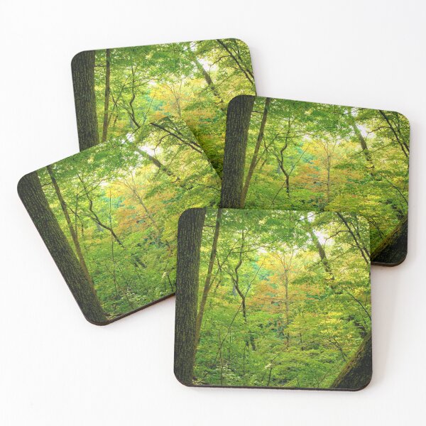 Item preview, Late Summer Woods 3 designed and sold by LynyrdSky.