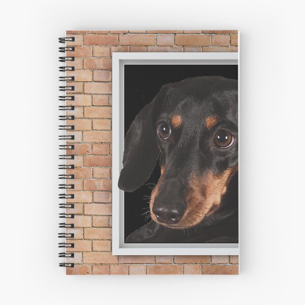 Item preview, Curious Dachshund Dog Looking out Window - Brick Wall designed and sold by ittybittyowl.