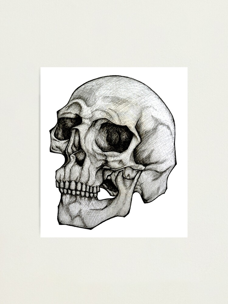 Surreal skull by eliapelle on DeviantArt | Skull drawing, Skull artwork, Skulls  drawing