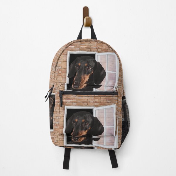 Item preview, Curious Dachshund Dog Looking out Window - Brick Wall designed and sold by ittybittyowl.
