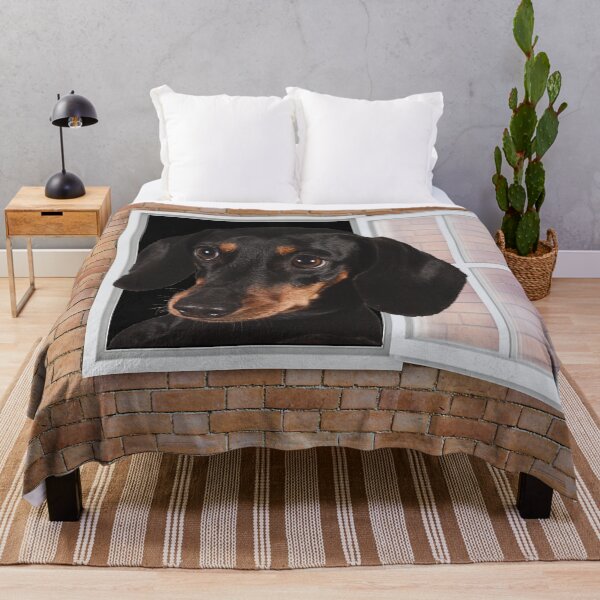 Item preview, Curious Dachshund Dog Looking out Window - Brick Wall designed and sold by ittybittyowl.