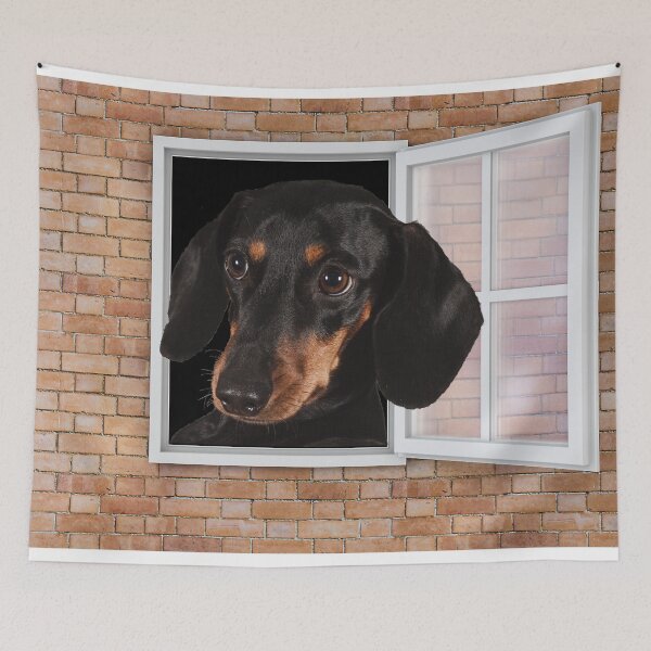 Item preview, Curious Dachshund Dog Looking out Window - Brick Wall designed and sold by ittybittyowl.