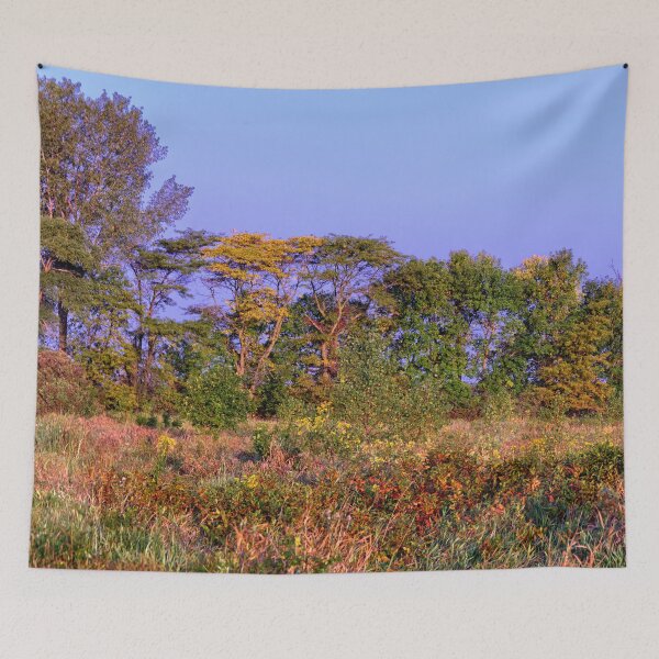 Item preview, Late Summer Marsh 2 designed and sold by LynyrdSky.