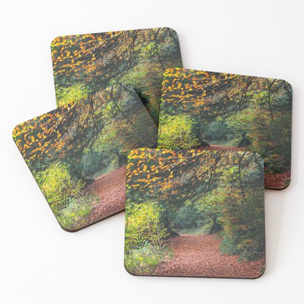 Item preview, Autumn Woodland Walk. designed and sold by John Ray.