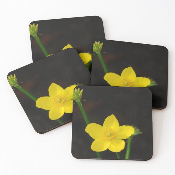 Artikelvorschau, Caltha Palustris - Leuchtendes Gelb auf Schwarz entworfen und verkauft von justbmac.