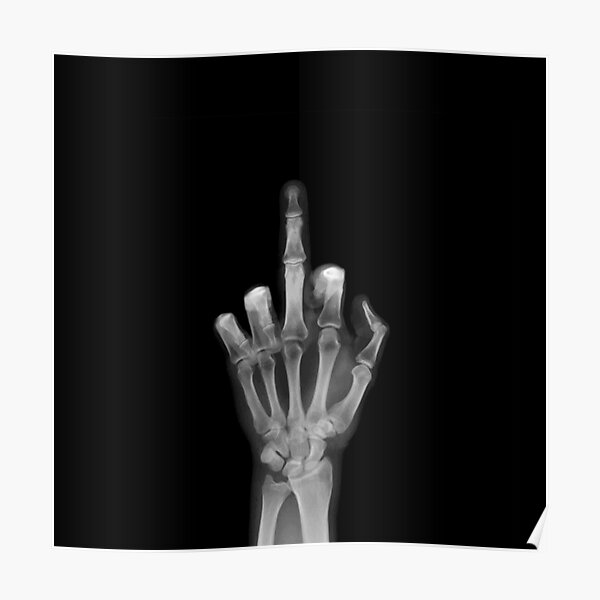Skeleton Middle Finger Images  Browse 593 Stock Photos Vectors and Video   Adobe Stock