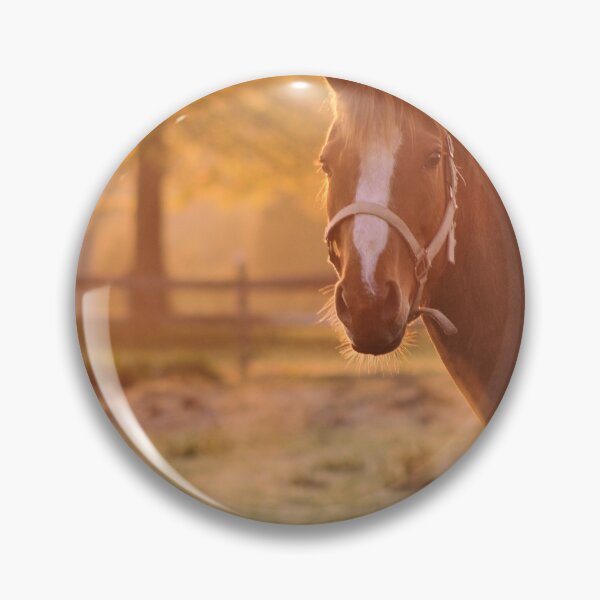 Item preview, Good Morning Whiskers! designed and sold by Kim McClain Gregal.